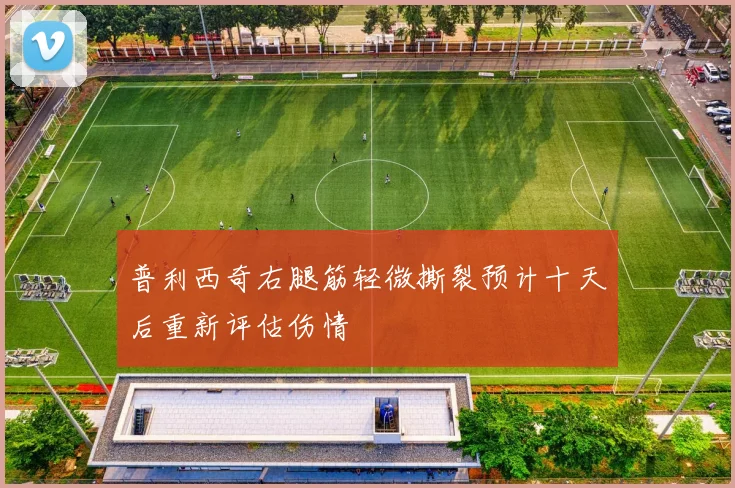 普利西奇右腿筋轻微撕裂预计十天后重新评估伤情